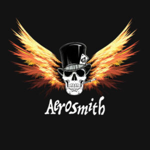 CAMISETA PERSONALIZADA AEROSMITH SKULL ROCK  Design