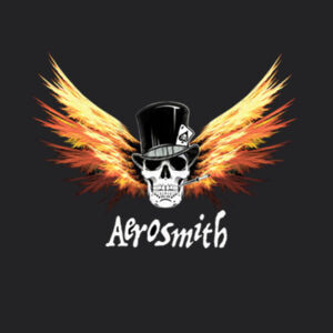 SUDADERA CAMISETA PERSONALIZADA AEROSMITH SKULL ROCK  Design